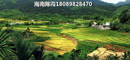 广东公寓现况如何了？