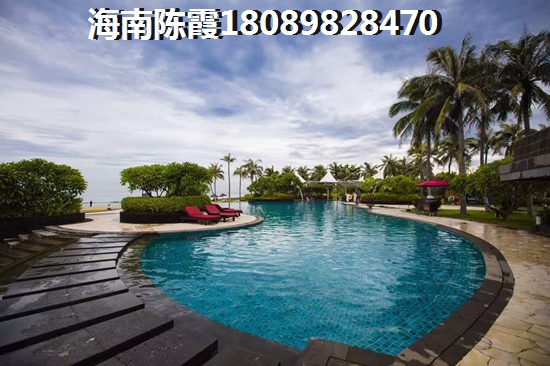 阳江在哪个地区小户型生纸大？
